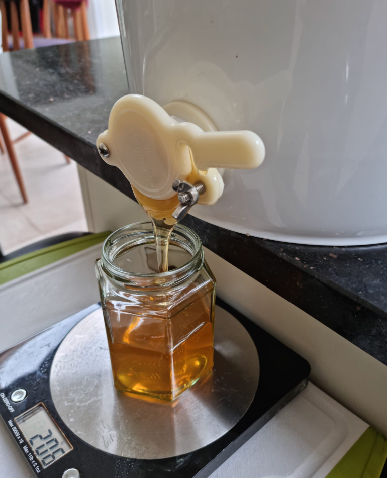 Honey bees on honeycomb